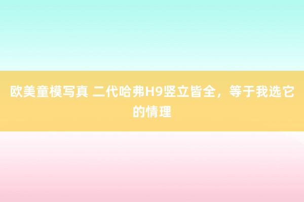 欧美童模写真 二代哈弗H9竖立皆全，等于我选它的情理