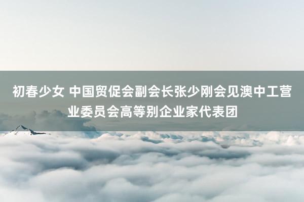 初春少女 中国贸促会副会长张少刚会见澳中工营业委员会高等别企业家代表团