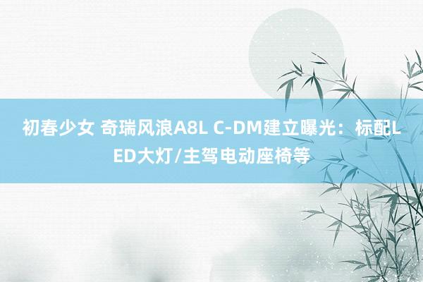 初春少女 奇瑞风浪A8L C-DM建立曝光：标配LED大灯/主驾电动座椅等