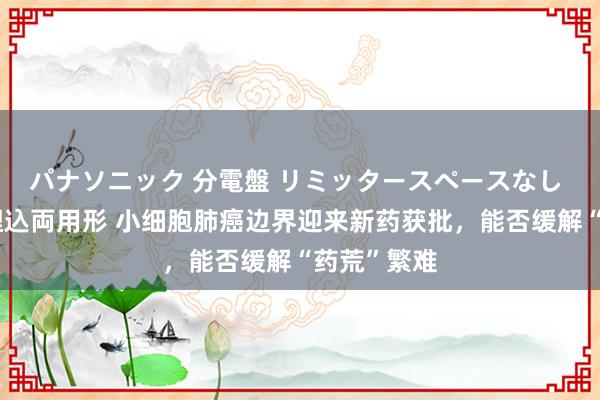 パナソニック 分電盤 リミッタースペースなし 露出・半埋込両用形 小细胞肺癌边界迎来新药获批，能否缓解“药荒”繁难