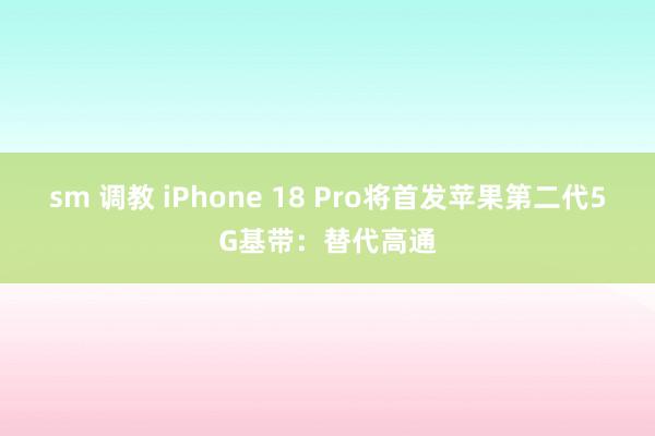 sm 调教 iPhone 18 Pro将首发苹果第二代5G基带：替代高通