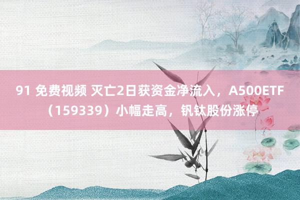 91 免费视频 灭亡2日获资金净流入，A500ETF（159339）小幅走高，钒钛股份涨停