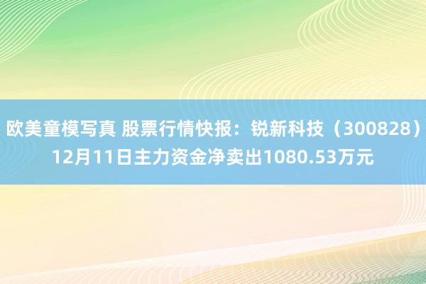 欧美童模写真 股票行情快报：锐新科技（300828）12月11日主力资金净卖出1080.53万元