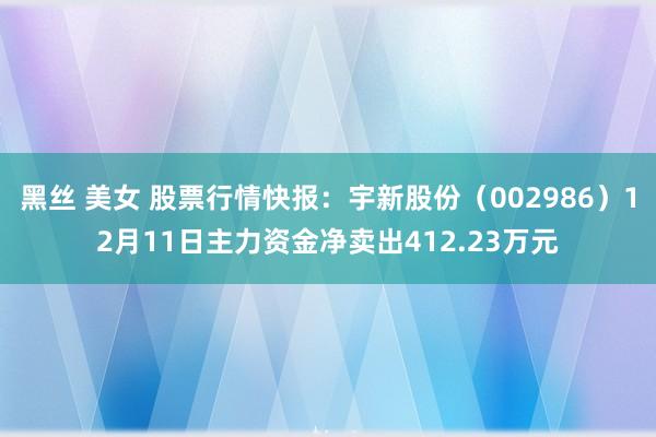 黑丝 美女 股票行情快报：宇新股份（002986）12月11日主力资金净卖出412.23万元