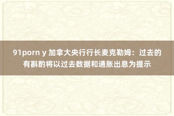 91porn y 加拿大央行行长麦克勒姆：过去的有斟酌将以过去数据和通胀出息为提示