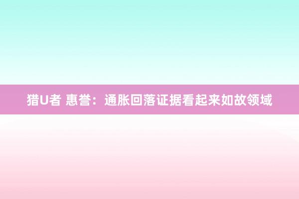 猎U者 惠誉：通胀回落证据看起来如故领域