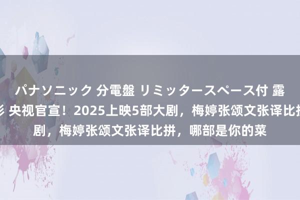 パナソニック 分電盤 リミッタースペース付 露出・半埋込両用形 央视官宣！2025上映5部大剧，梅婷张颂文张译比拼，哪部是你的菜