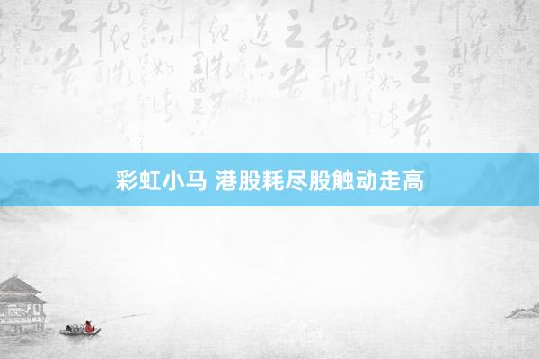 彩虹小马 港股耗尽股触动走高