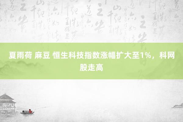 夏雨荷 麻豆 恒生科技指数涨幅扩大至1%，科网股走高