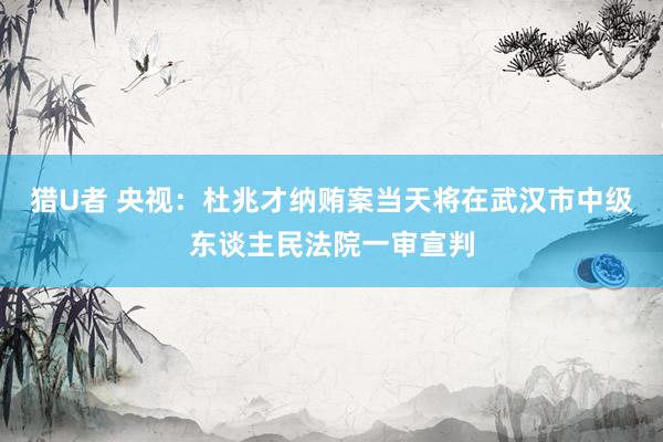 猎U者 央视：杜兆才纳贿案当天将在武汉市中级东谈主民法院一审宣判