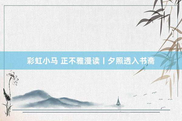 彩虹小马 正不雅漫读丨夕照透入书斋
