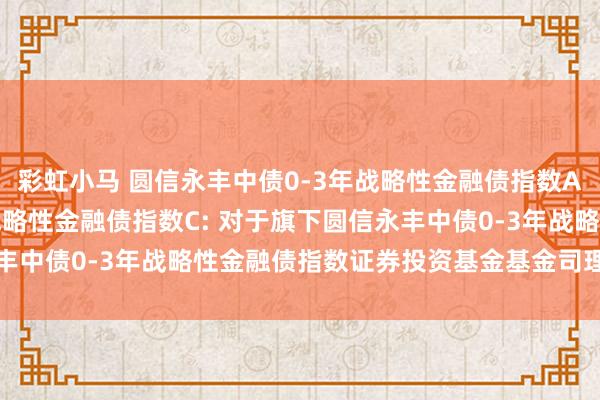 彩虹小马 圆信永丰中债0-3年战略性金融债指数A，圆信永丰中债0-3年战略性金融债指数C: 对于旗下圆信永丰中债0-3年战略性金融债指数证券投资基金基金司理变更的公告
