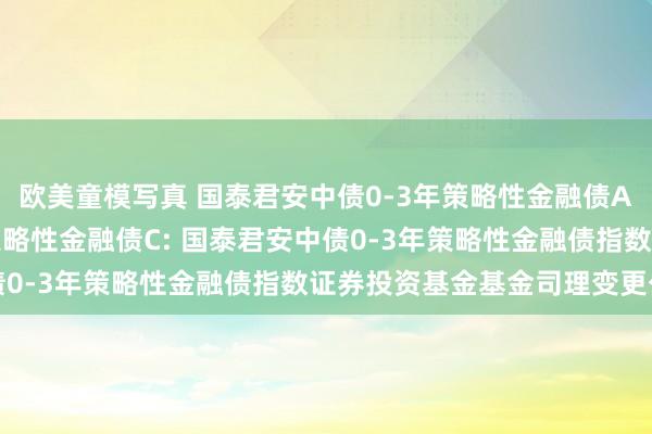 欧美童模写真 国泰君安中债0-3年策略性金融债A，国泰君安中债0-3年策略性金融债C: 国泰君安中债0-3年策略性金融债指数证券投资基金基金司理变更公告
