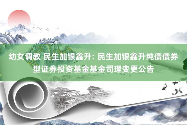幼女调教 民生加银鑫升: 民生加银鑫升纯债债券型证券投资基金基金司理变更公告