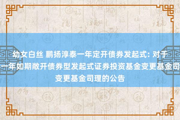 幼女白丝 鹏扬淳泰一年定开债券发起式: 对于鹏扬淳泰一年如期敞开债券型发起式证券投资基金变更基金司理的公告