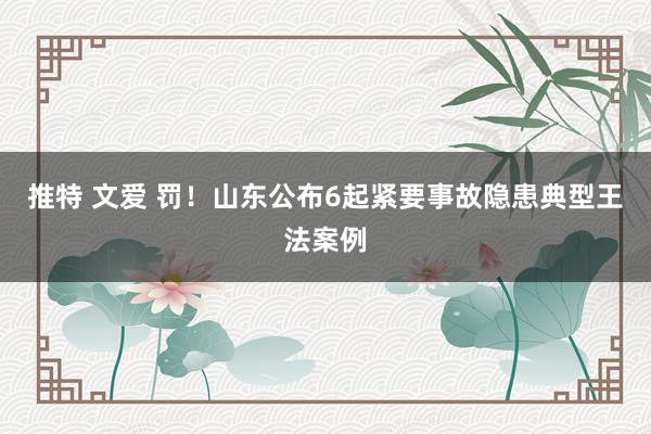 推特 文爱 罚！山东公布6起紧要事故隐患典型王法案例