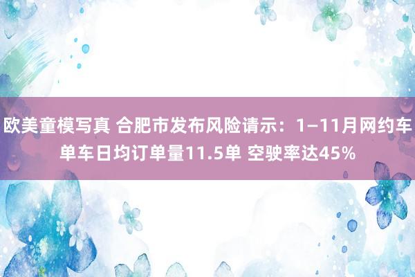 欧美童模写真 合肥市发布风险请示：1—11月网约车单车日均订单量11.5单 空驶率达45%