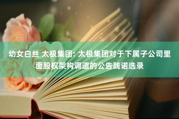 幼女白丝 太极集团: 太极集团对于下属子公司里面股权架构调遣的公告践诺选录