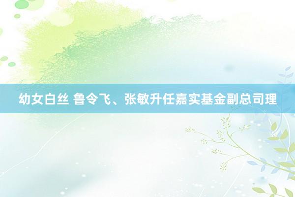 幼女白丝 鲁令飞、张敏升任嘉实基金副总司理