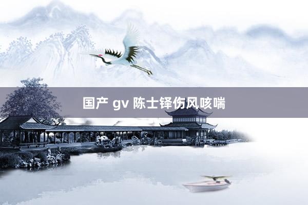 国产 gv 陈士铎伤风咳喘