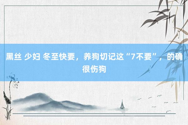 黑丝 少妇 冬至快要，养狗切记这“7不要”，的确很伤狗