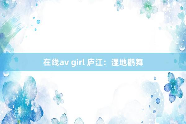 在线av girl 庐江：湿地鹳舞