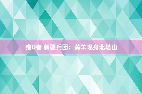 猎U者 新疆兵团：黄羊现身北塔山