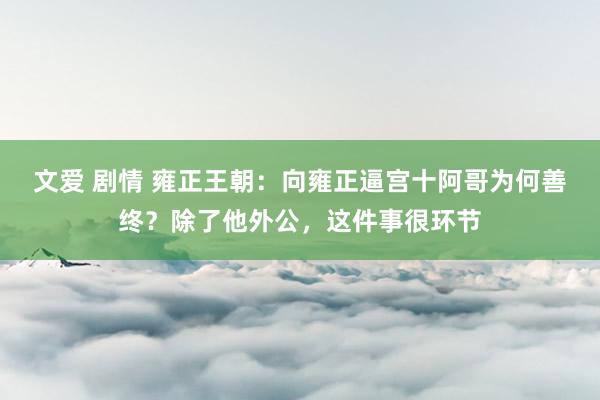 文爱 剧情 雍正王朝：向雍正逼宫十阿哥为何善终？除了他外公，这件事很环节