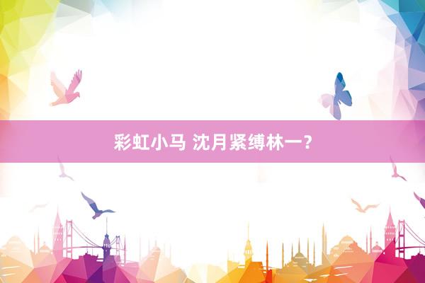 彩虹小马 沈月紧缚林一？