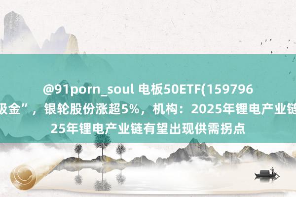 @91porn_soul 电板50ETF(159796)聚合8个交游日“吸金”，银轮股份涨超5%，机构：2025年锂电产业链有望出现供需拐点