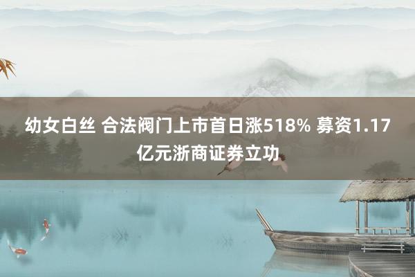 幼女白丝 合法阀门上市首日涨518% 募资1.17亿元浙商证券立功