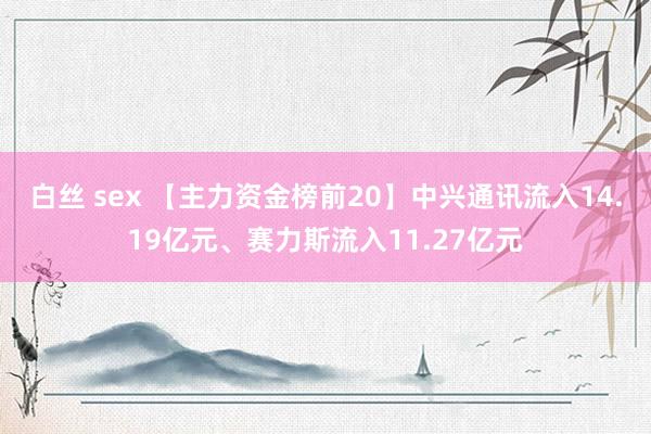 白丝 sex 【主力资金榜前20】中兴通讯流入14.19亿元、赛力斯流入11.27亿元