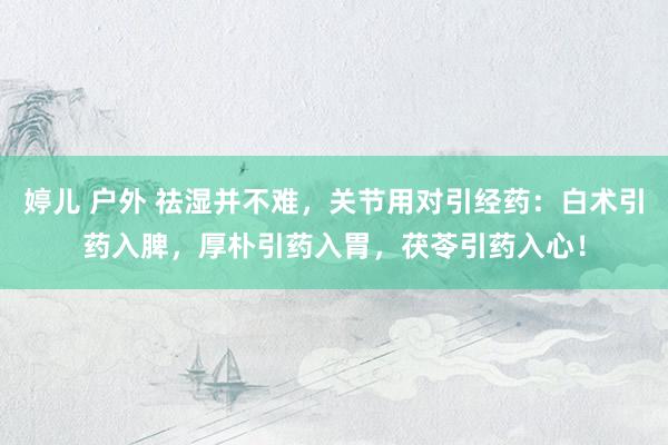婷儿 户外 祛湿并不难，关节用对引经药：白术引药入脾，厚朴引药入胃，茯苓引药入心！
