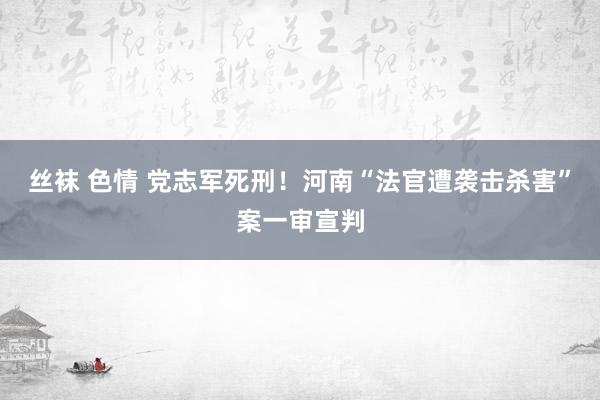 丝袜 色情 党志军死刑！河南“法官遭袭击杀害”案一审宣判