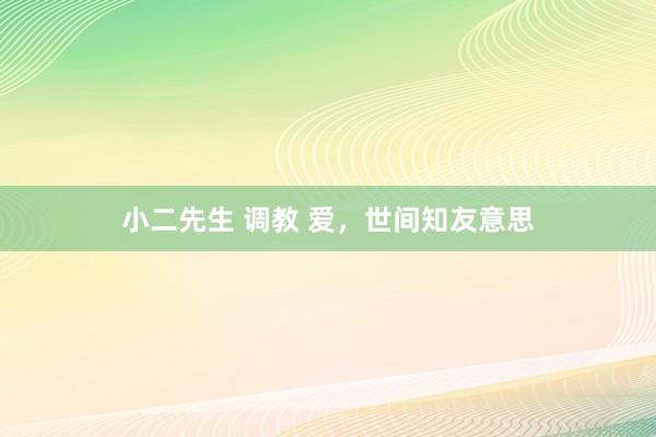 小二先生 调教 爱，世间知友意思