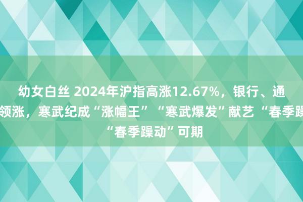 幼女白丝 2024年沪指高涨12.67%，银行、通讯、电子领涨，寒武纪成“涨幅王” “寒武爆发”献艺 “春季躁动”可期