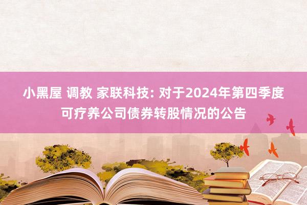 小黑屋 调教 家联科技: 对于2024年第四季度可疗养公司债券转股情况的公告