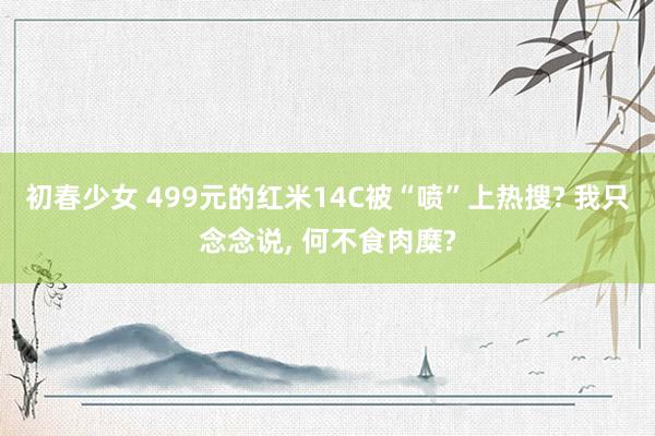 初春少女 499元的红米14C被“喷”上热搜? 我只念念说， 何不食肉糜?