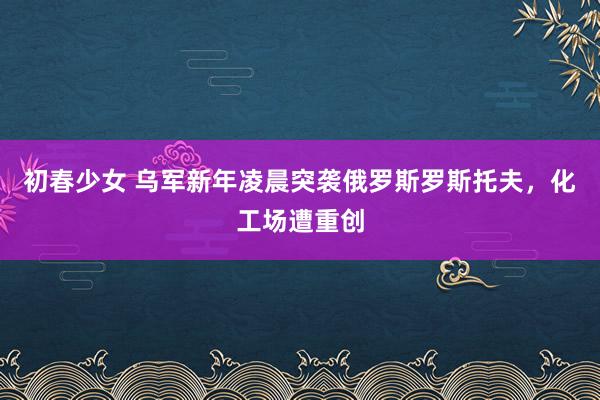 初春少女 乌军新年凌晨突袭俄罗斯罗斯托夫，化工场遭重创