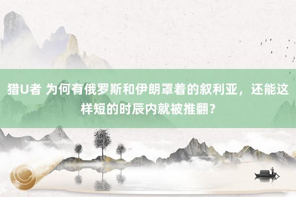猎U者 为何有俄罗斯和伊朗罩着的叙利亚，还能这样短的时辰内就被推翻？