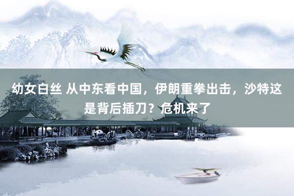 幼女白丝 从中东看中国，伊朗重拳出击，沙特这是背后插刀？危机来了