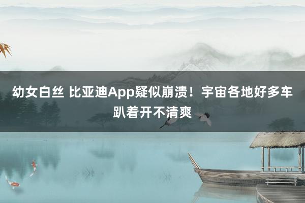 幼女白丝 比亚迪App疑似崩溃！宇宙各地好多车趴着开不清爽