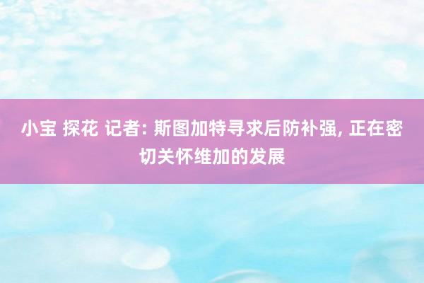 小宝 探花 记者: 斯图加特寻求后防补强， 正在密切关怀维加的发展