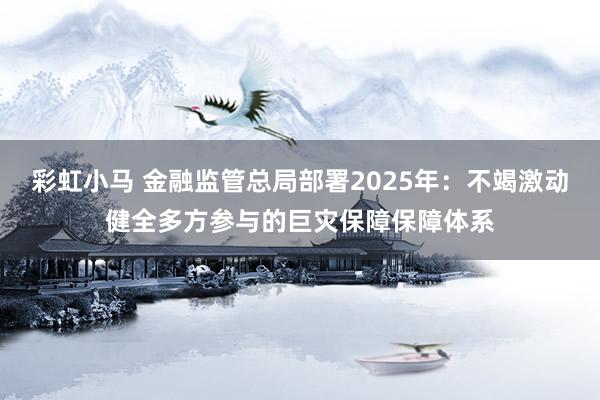彩虹小马 金融监管总局部署2025年：不竭激动健全多方参与的巨灾保障保障体系