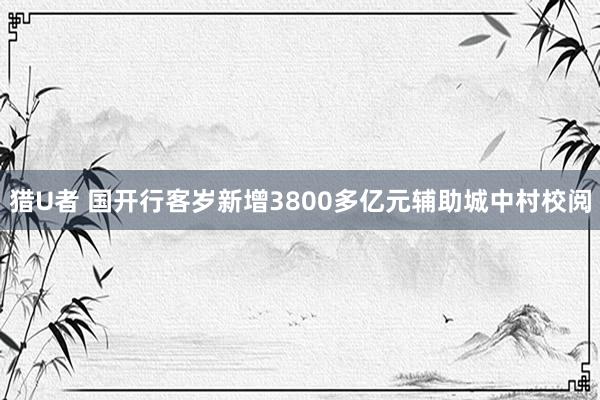 猎U者 国开行客岁新增3800多亿元辅助城中村校阅