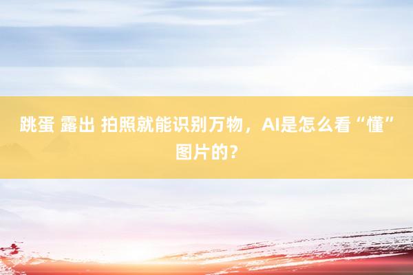 跳蛋 露出 拍照就能识别万物，AI是怎么看“懂”图片的？