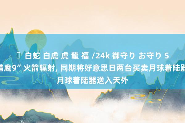 ✨白蛇 白虎 虎 龍 福 /24k 御守り お守り SpaceX“猎鹰9”火箭辐射， 同期将好意思日两台买卖月球着陆器送入天外