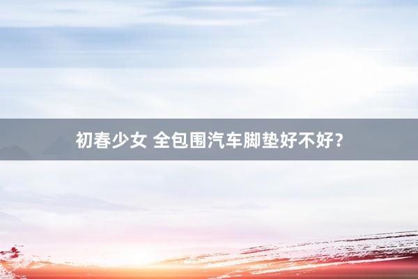 初春少女 全包围汽车脚垫好不好？