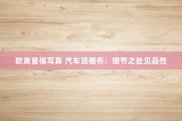 欧美童模写真 汽车顶棚布：细节之处见品性