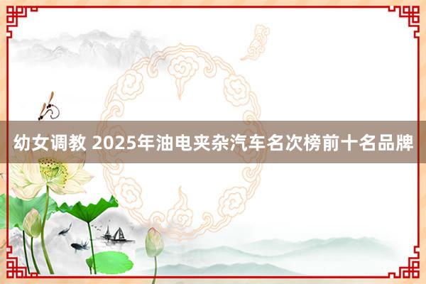 幼女调教 2025年油电夹杂汽车名次榜前十名品牌